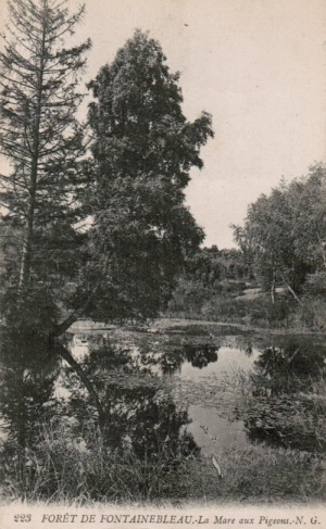 Las Fontainebleau - kartka pocztowa z początku XX wieku